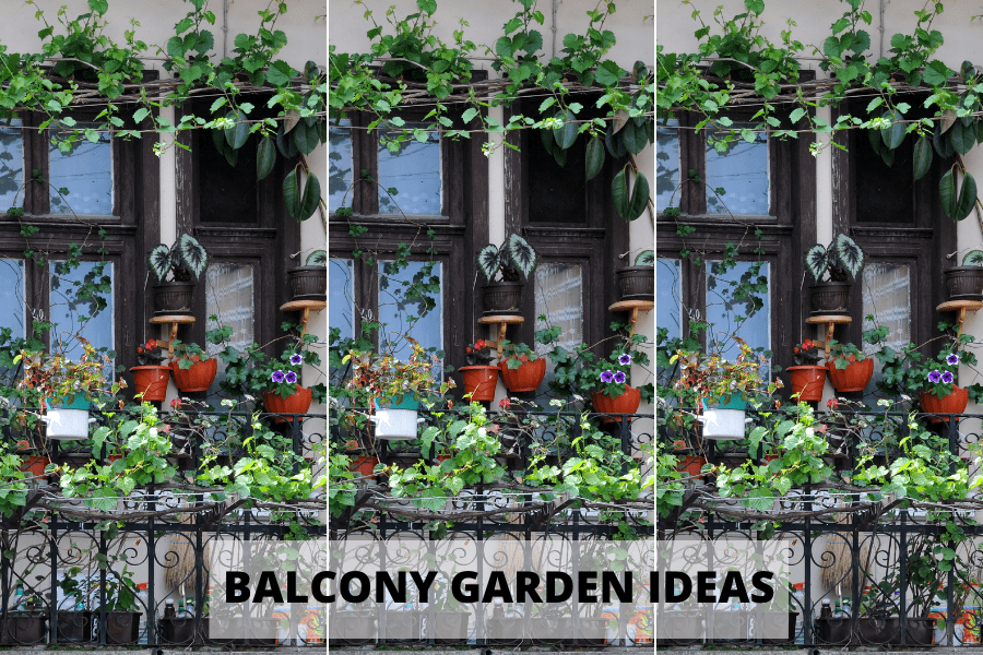 Balcony Garden Ideas: DIY - The Brown Gardener