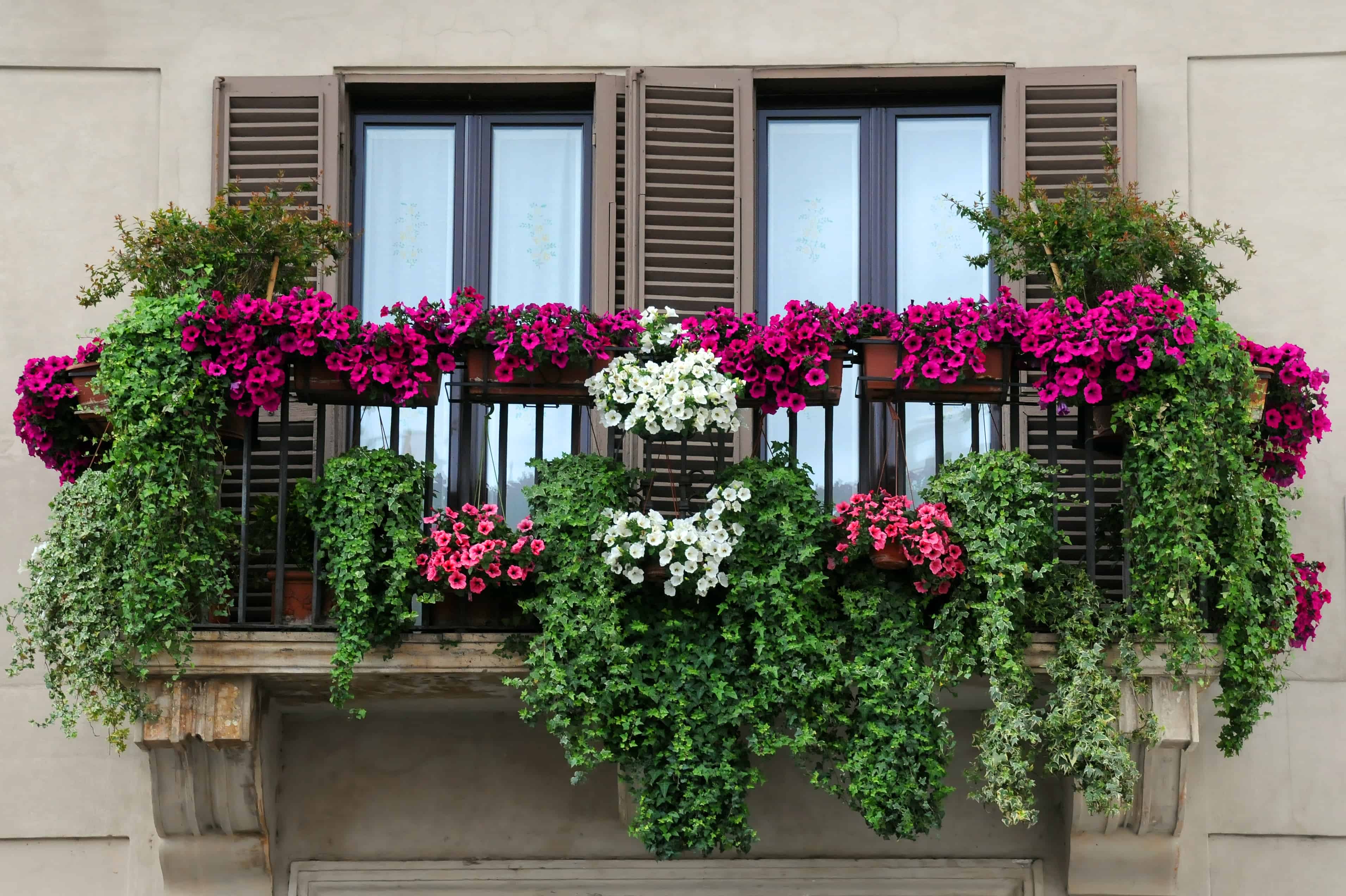 Balcony Garden Ideas DIY The Brown Gardener