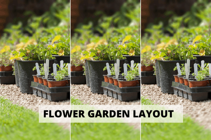 DIY: Flower Garden Layout - The Brown Gardener